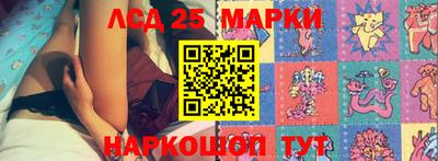 крисы Будённовск