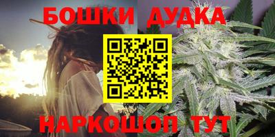 крисы Будённовск