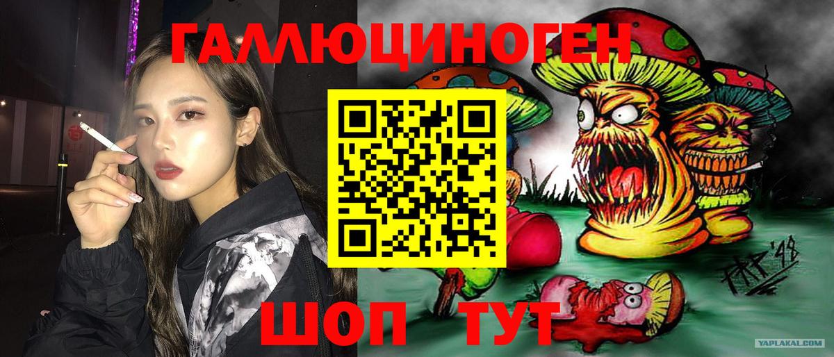 Псилоцибиновые грибы Psilocybe Серпухов