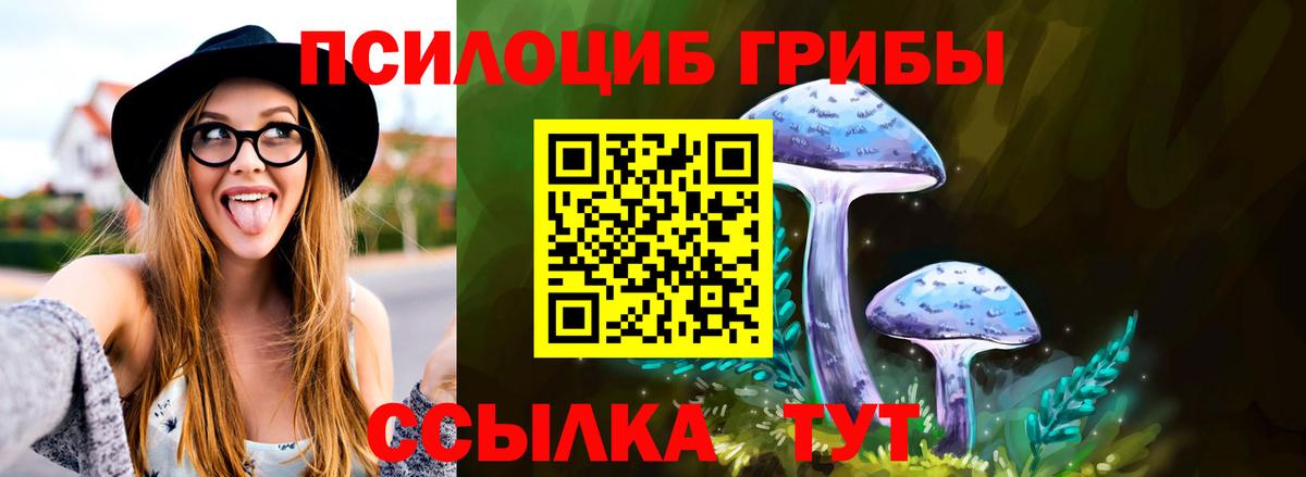 Серпухов  Псилоцибиновые грибы Psilocybe  Вход с VPN 